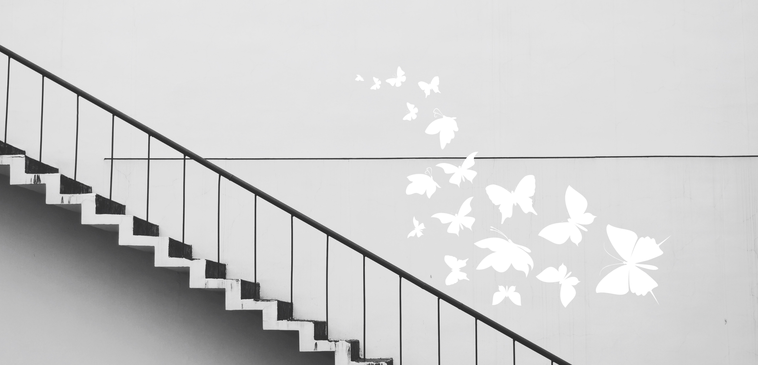 Copy of Untitled (7).png