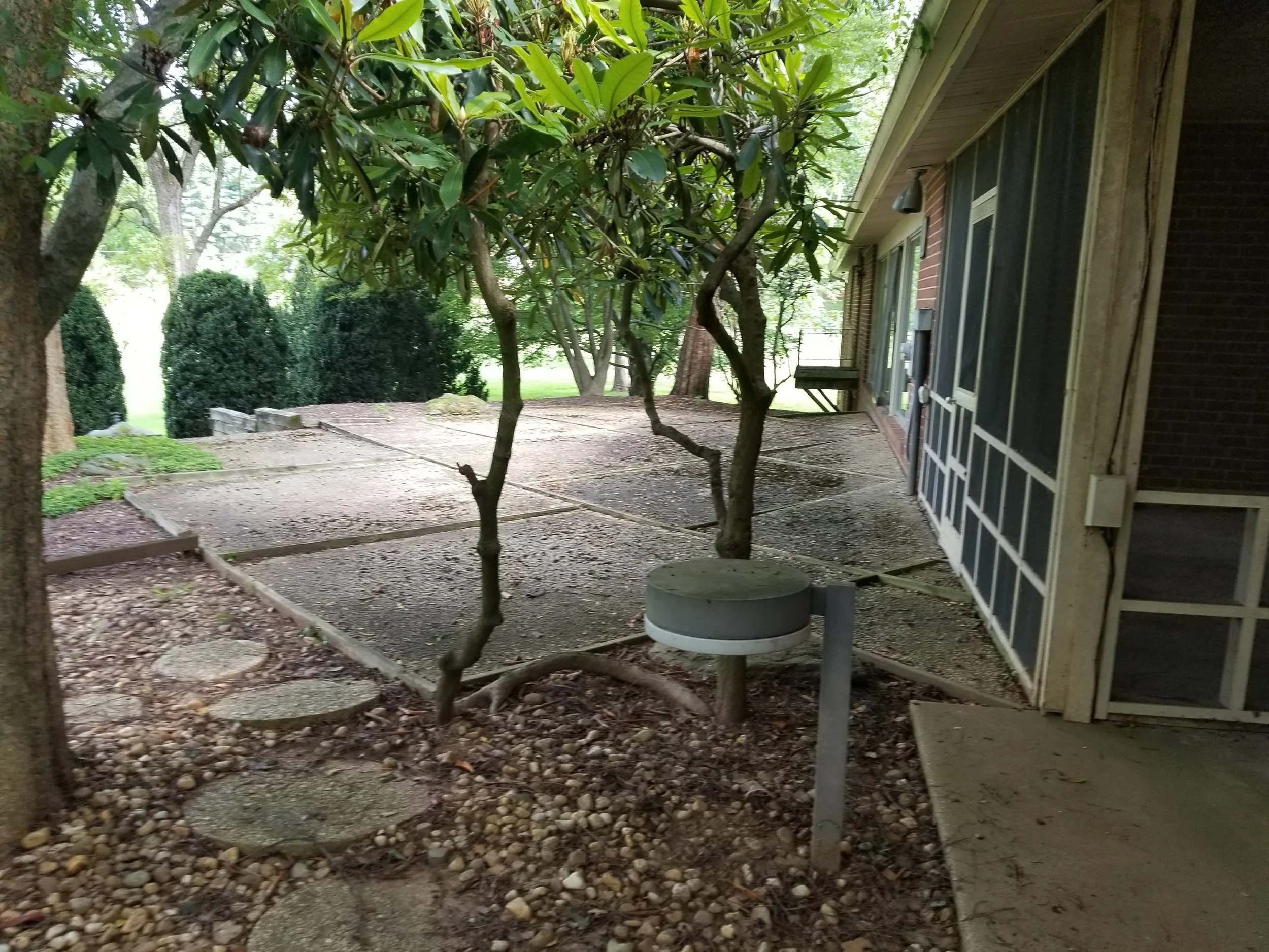 20170811_101359.jpg