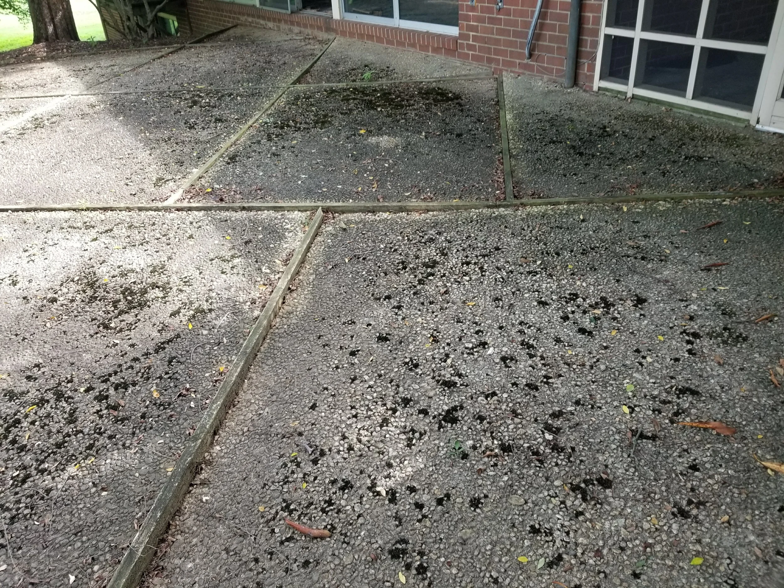 20170811_101409.jpg