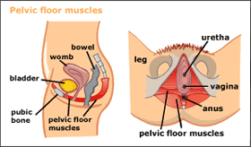 Image courtesy of womenshealthadvice.com
