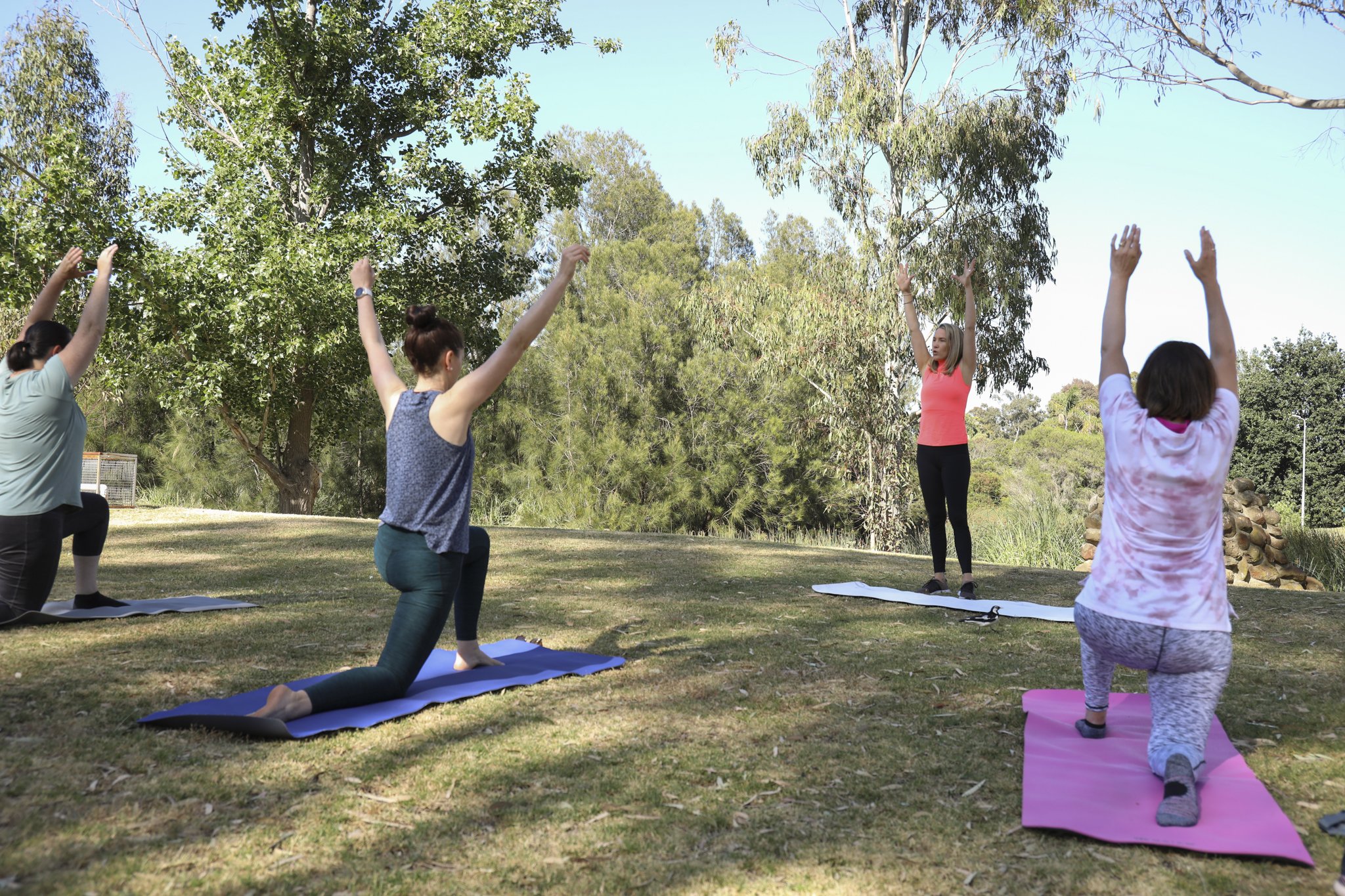 As Tall As Trees: The Benefits of Pilates in Nature — Kirsti