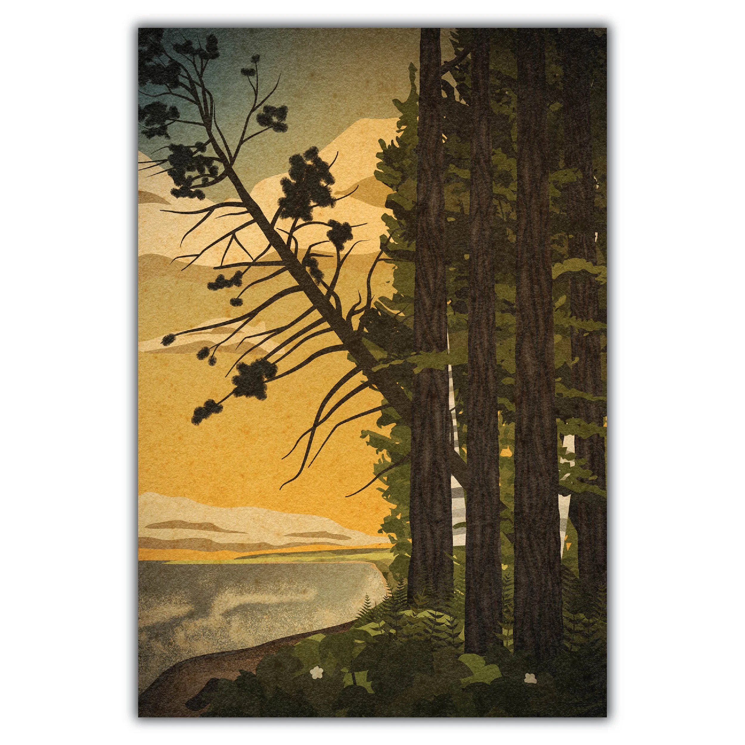 isabelle_sq copy.jpg