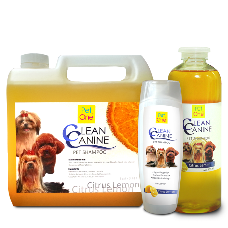 canine shampoo