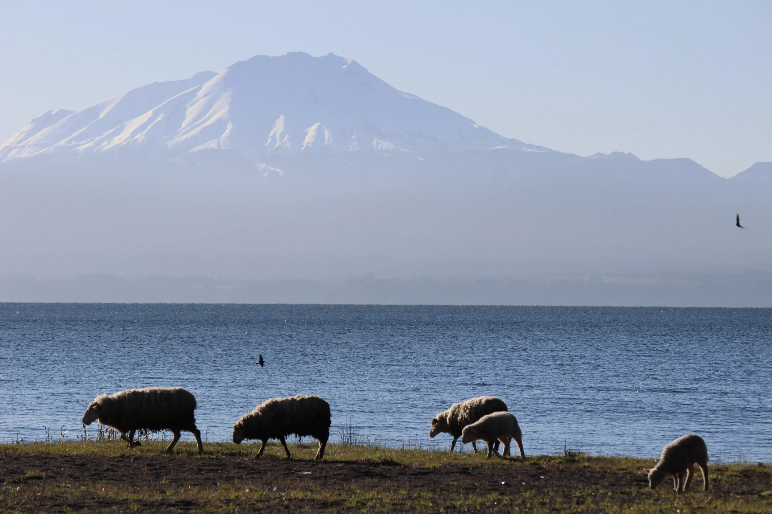 26th September - Llanquihue - a German Colonial Town!