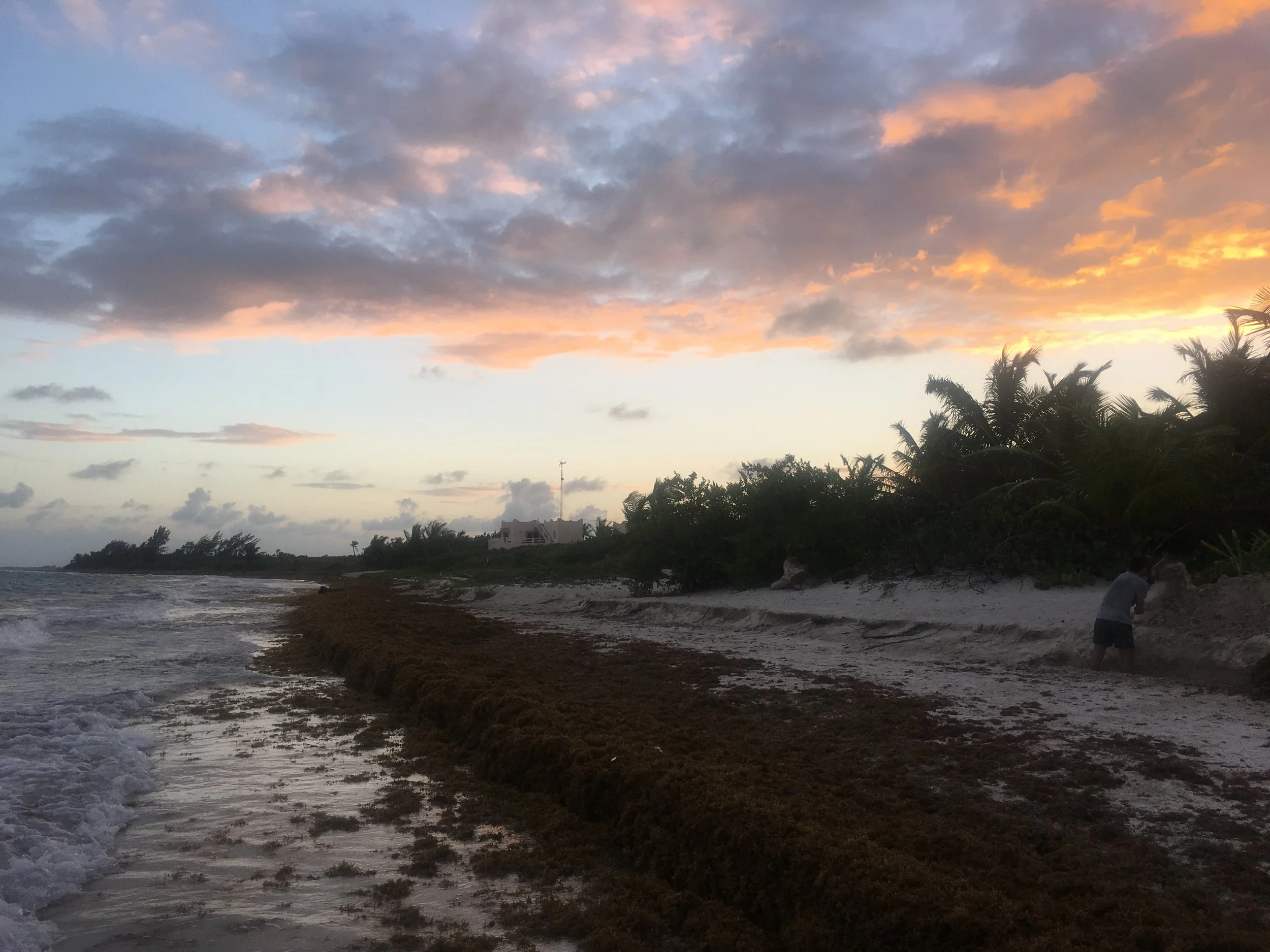 6th February - Almaplena Eco Resort - Mahahual