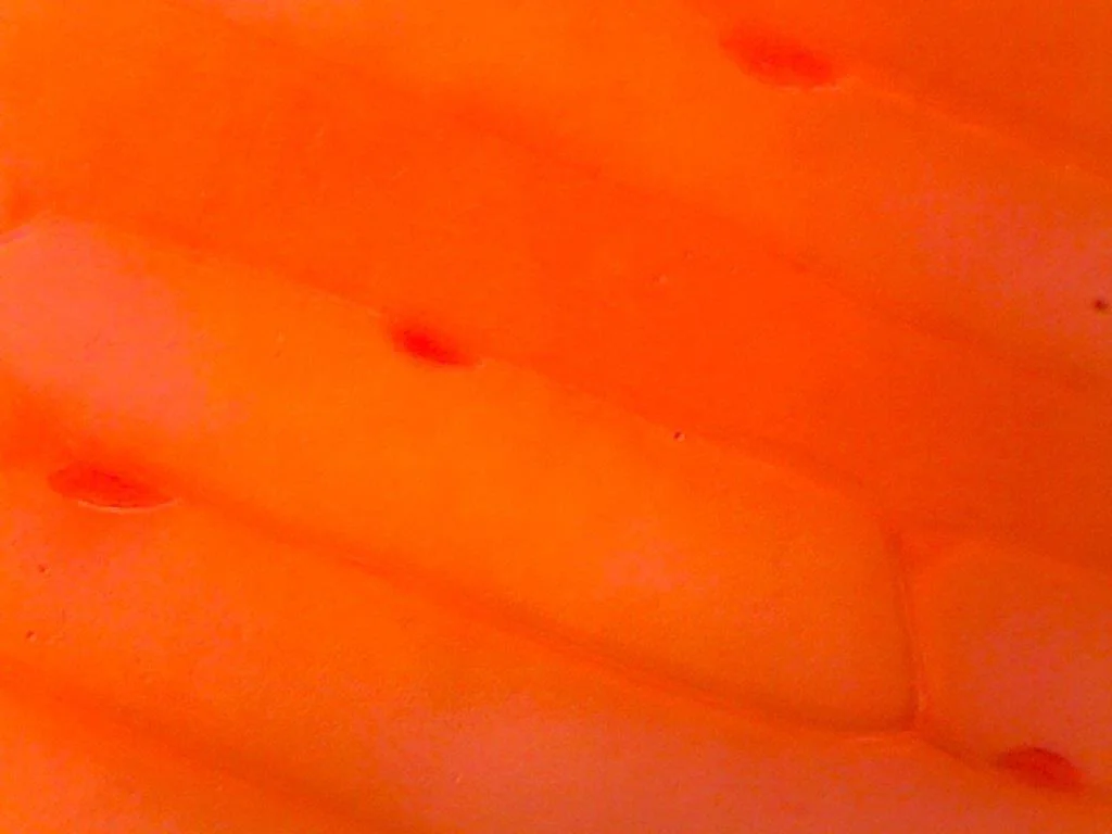 2014 02 c image42.jpg