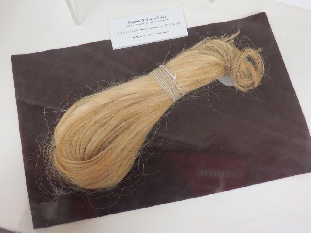 Yucca fibers