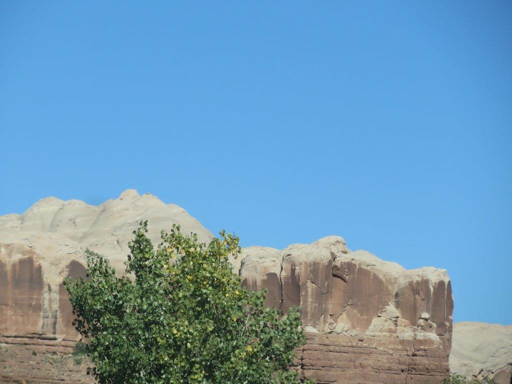 Rocks Reminiscent of Whipped Cream on Chocolate Ice Cream