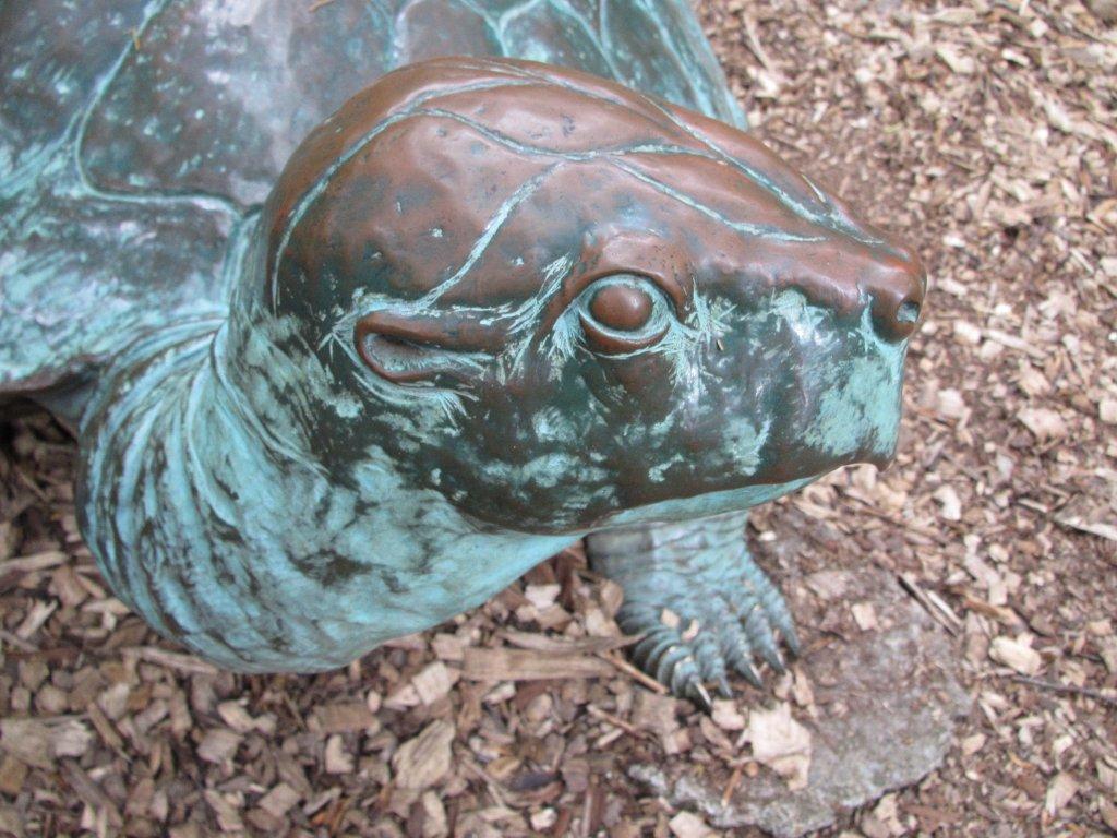 Tortoise Sculpture showing where children hold on