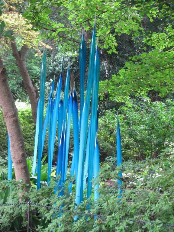 Blue Reeds