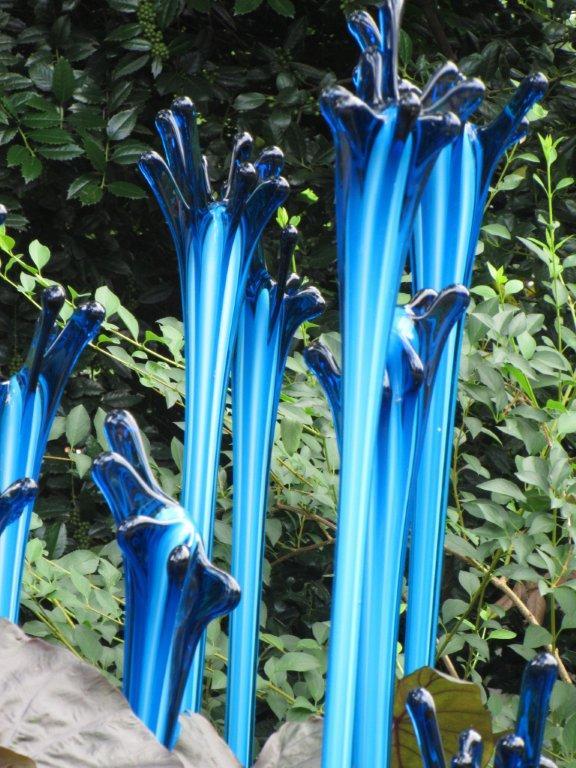 Blue Garden Forms