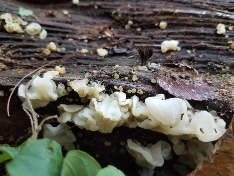 20171006_1145171664075662.jpg