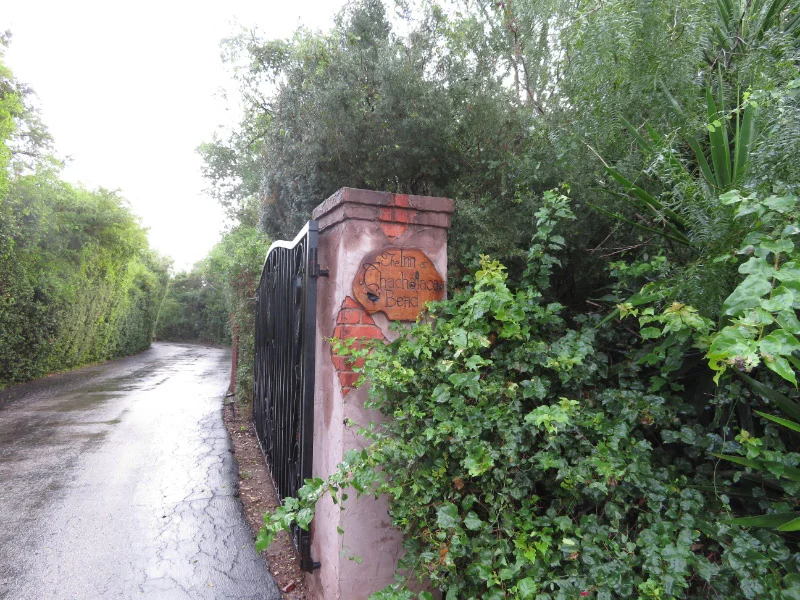 2017 11 IMG_6245.jpg