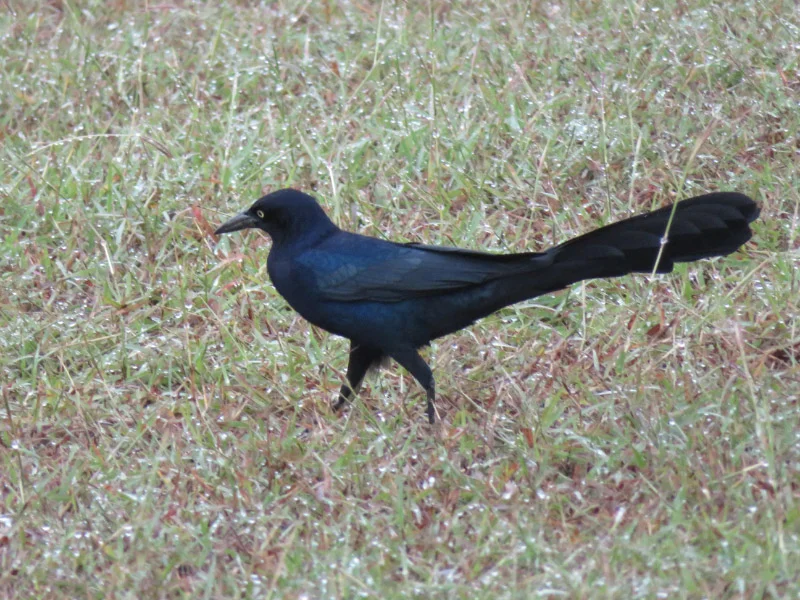 2017 11 IMG_6406.jpg