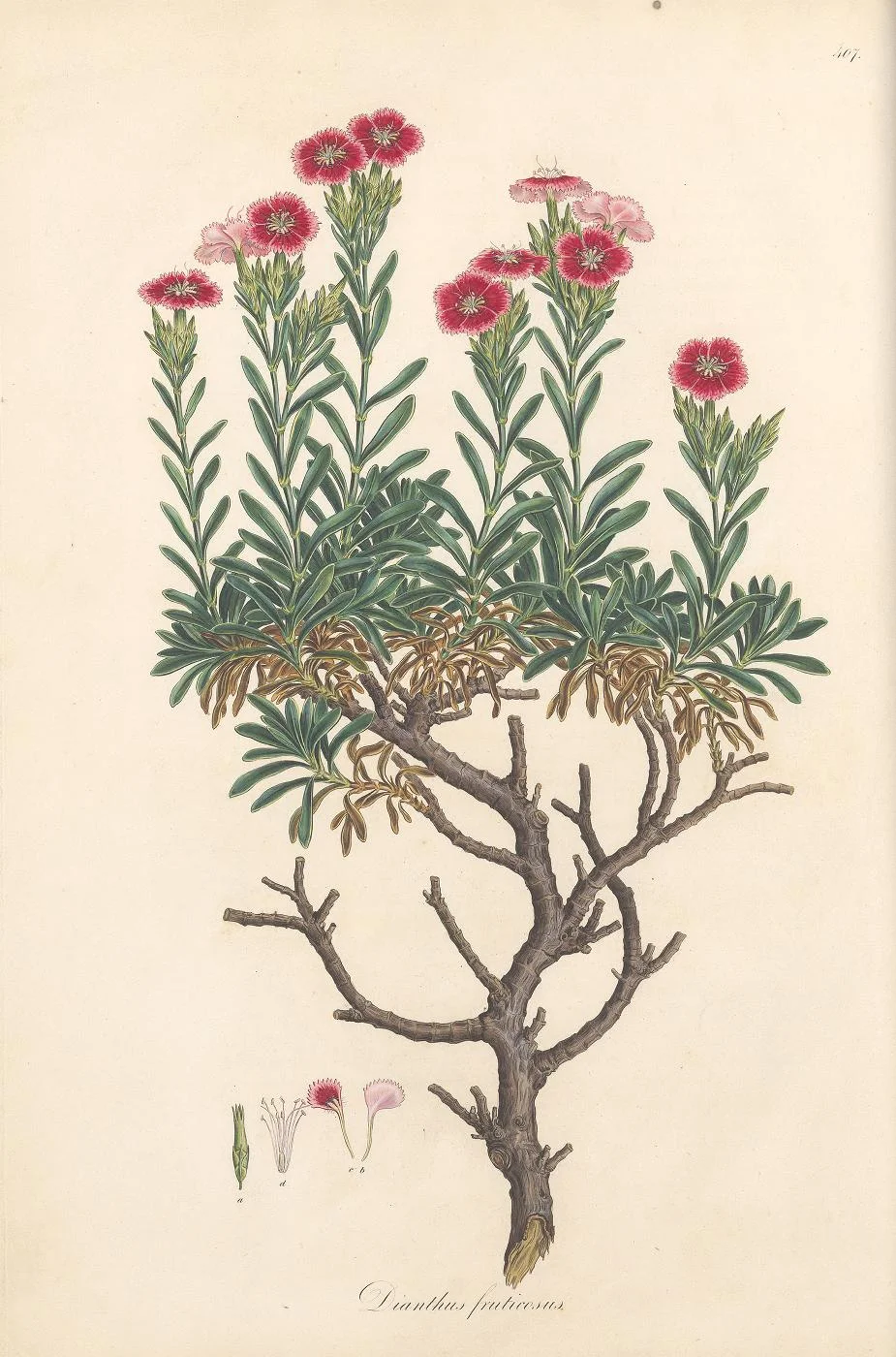 17c 17 12.jpg