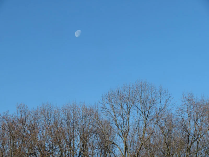 IMG_7500.jpg