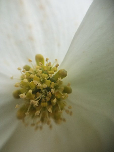 20180505_083418.jpg
