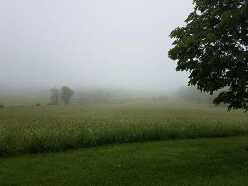 20180514_085354.jpg