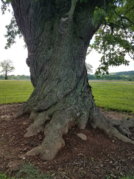 20180523_092651.jpg