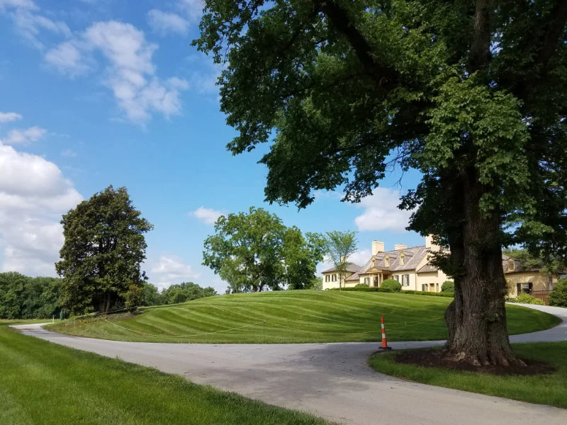 20180606_095417.jpg