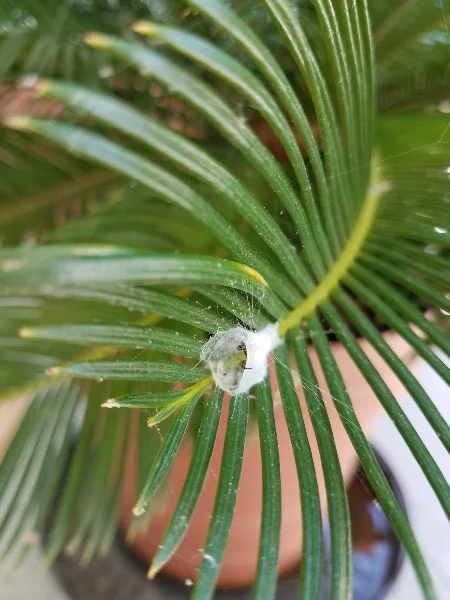 20180720_101543.jpg