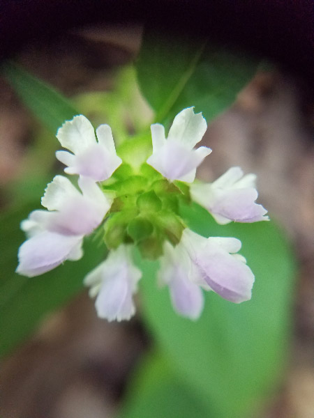 20180720_105505.jpg