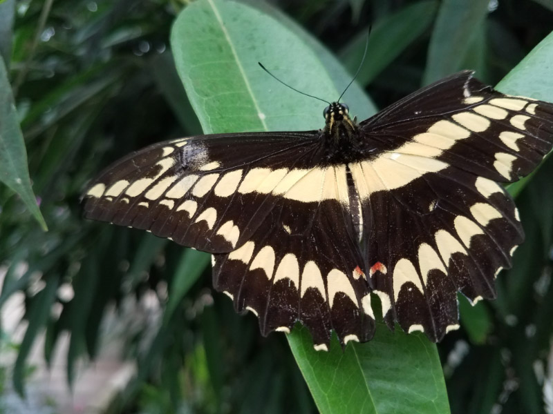 20180721_090955.jpg