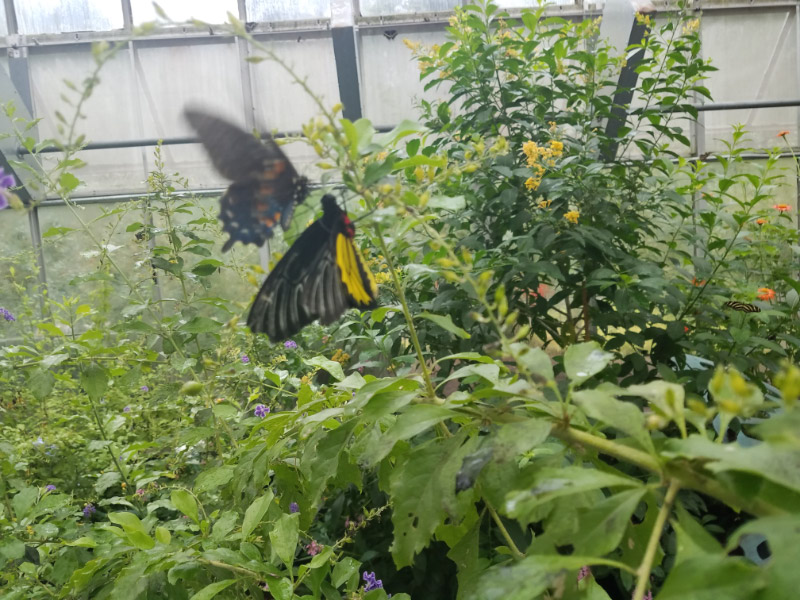 20180908_091335.jpg