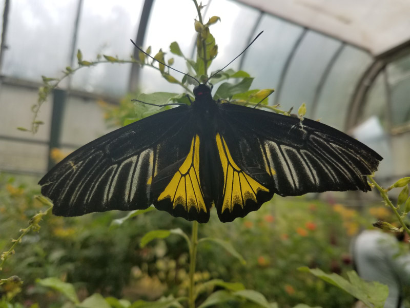 20180908_091205.jpg