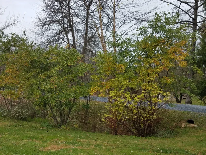 20181109_095014.jpg