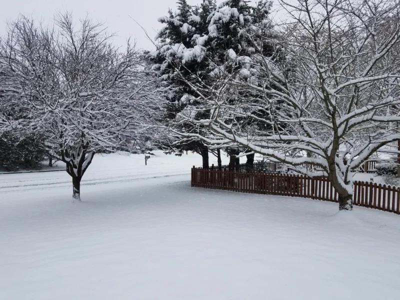 20190113_091926.jpg
