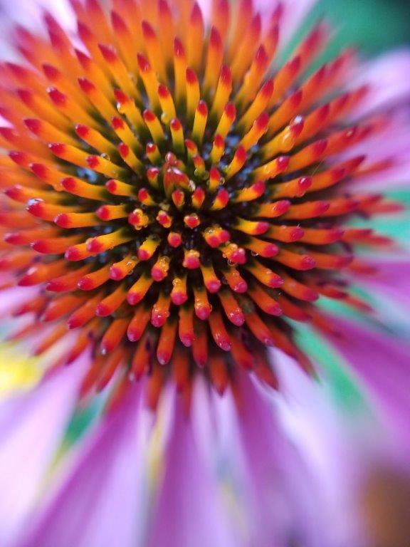 20180721_083226.jpg