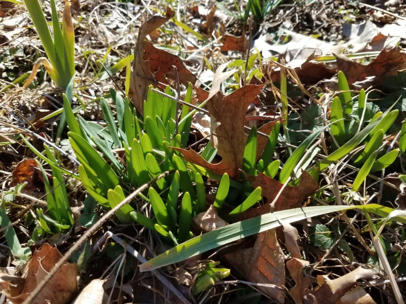 20190228_140315.jpg