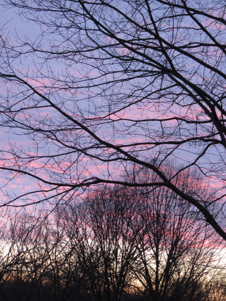 2019 03 IMG_5024.jpg