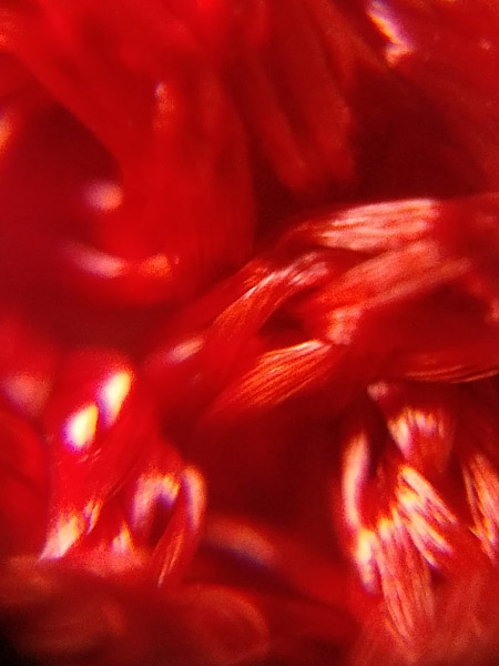20190314_114644.jpg