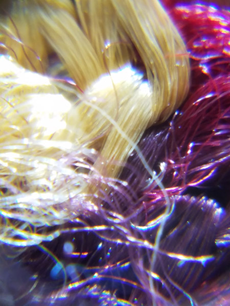 20190314_114948.jpg