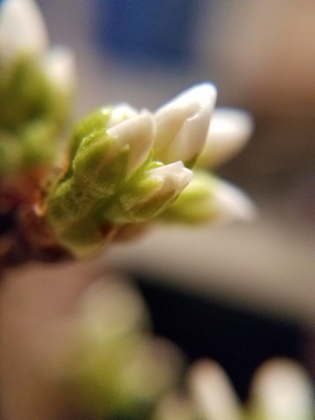 20190317_070309.jpg