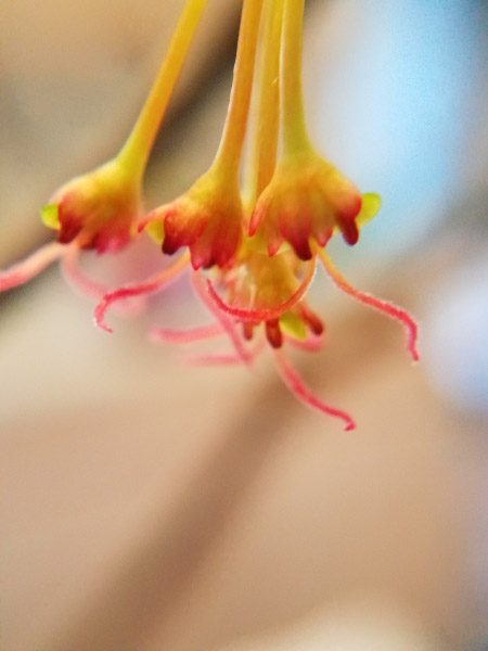 20190316_085641.jpg
