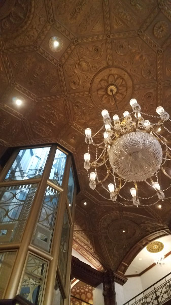 20190331_135451.jpg