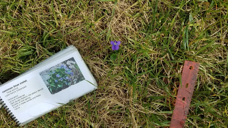 20190409_103916.jpg