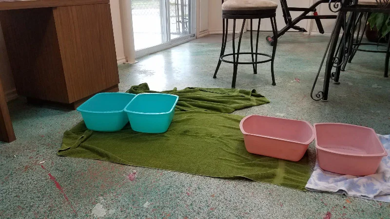 20190413_140938.jpg
