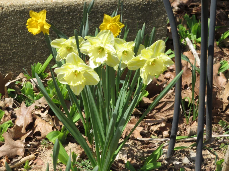 2019 04 IMG_3897.jpg