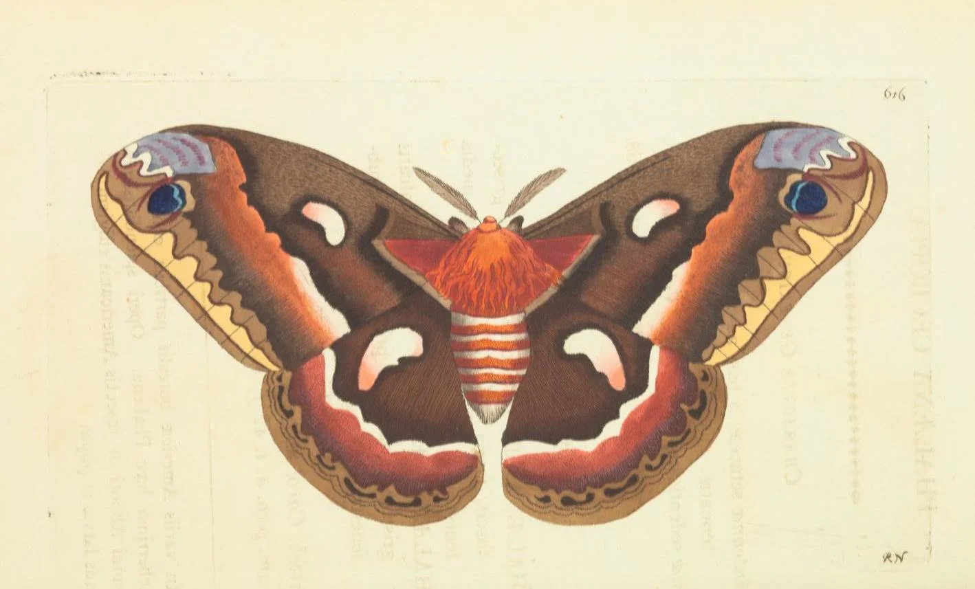 71y 19 04.jpg