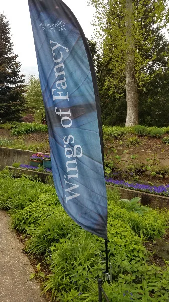 20190428_091535.jpg