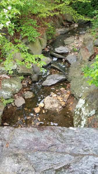 20190428_091037.jpg