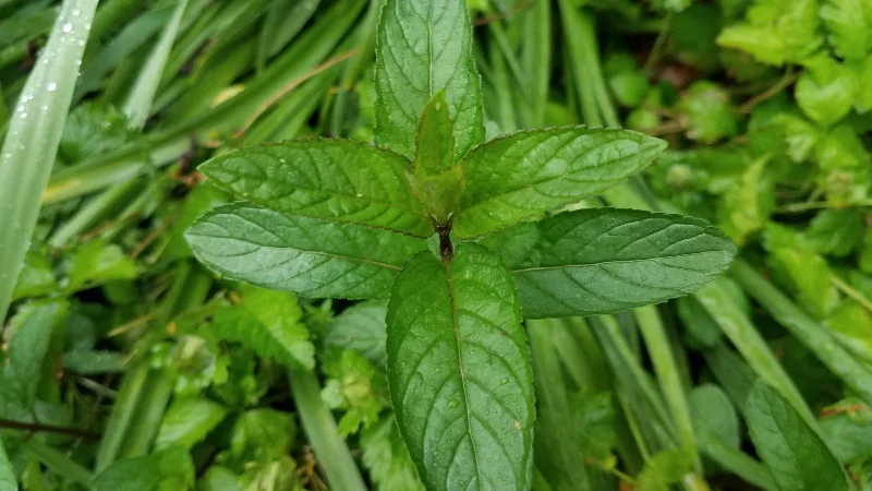 20190504_082447.jpg