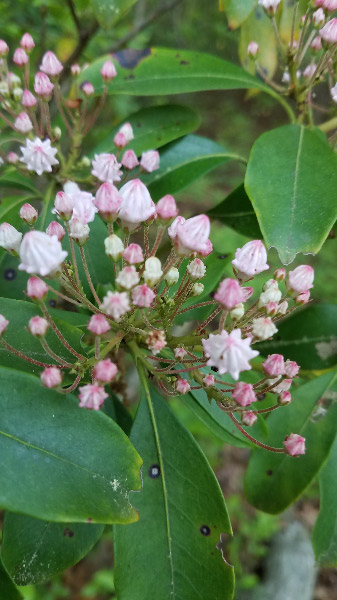 20190517_071541.jpg