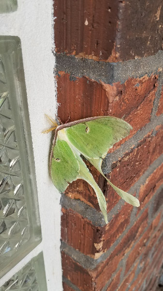 20190603_100414.jpg