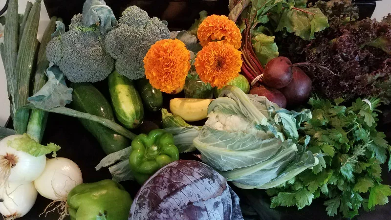 20190710_144239.jpg