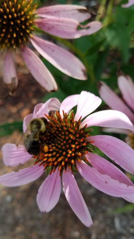 20190810_095028.jpg